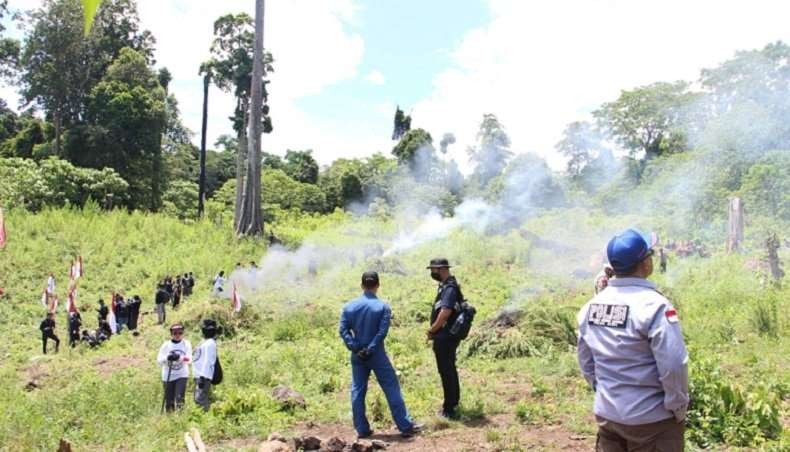 Polisi Musnahkan 25 Hektare Ladang Ganja di Aceh Besar.(Foto: Tangkapan layar Youtube)