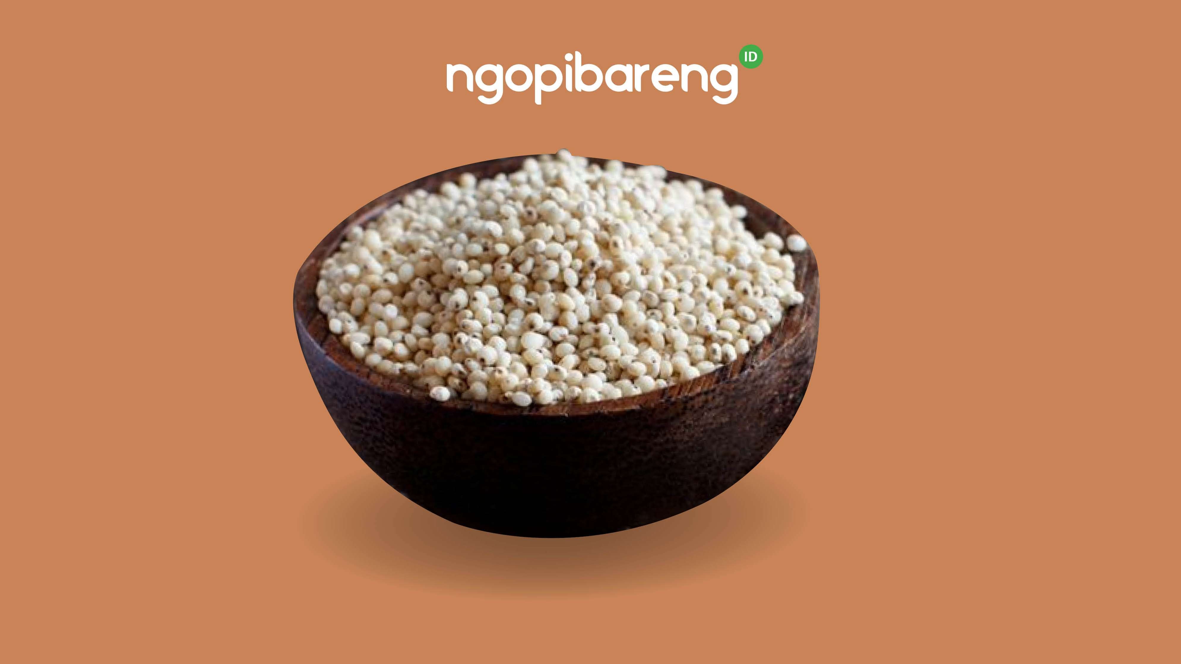 Sorgum Bahan Makanan Alternatif Gandum (Foto: Google.com)