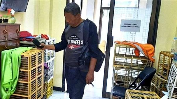 Barang bukti judi balap merpati diamankan bersama empat pejudi di Mapolres Situbondo, Jawa Timur. (Foto: Humas Polres Situbondo)