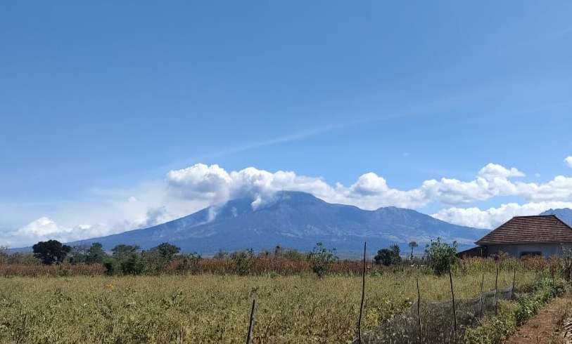 Visual Gunung Merapi Ungup-ungup yang mengalami kebakaran di bagian lerengnya. (Foto: Istimewa)