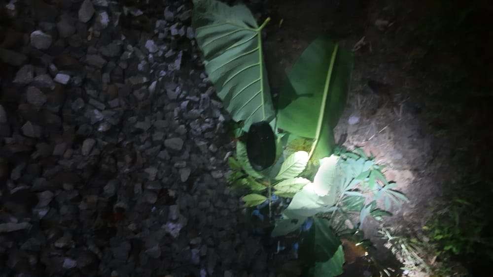 Petani di Jember tewas mengenaskan ditabrak kereta api. (Foto: Dokumentasi warga)