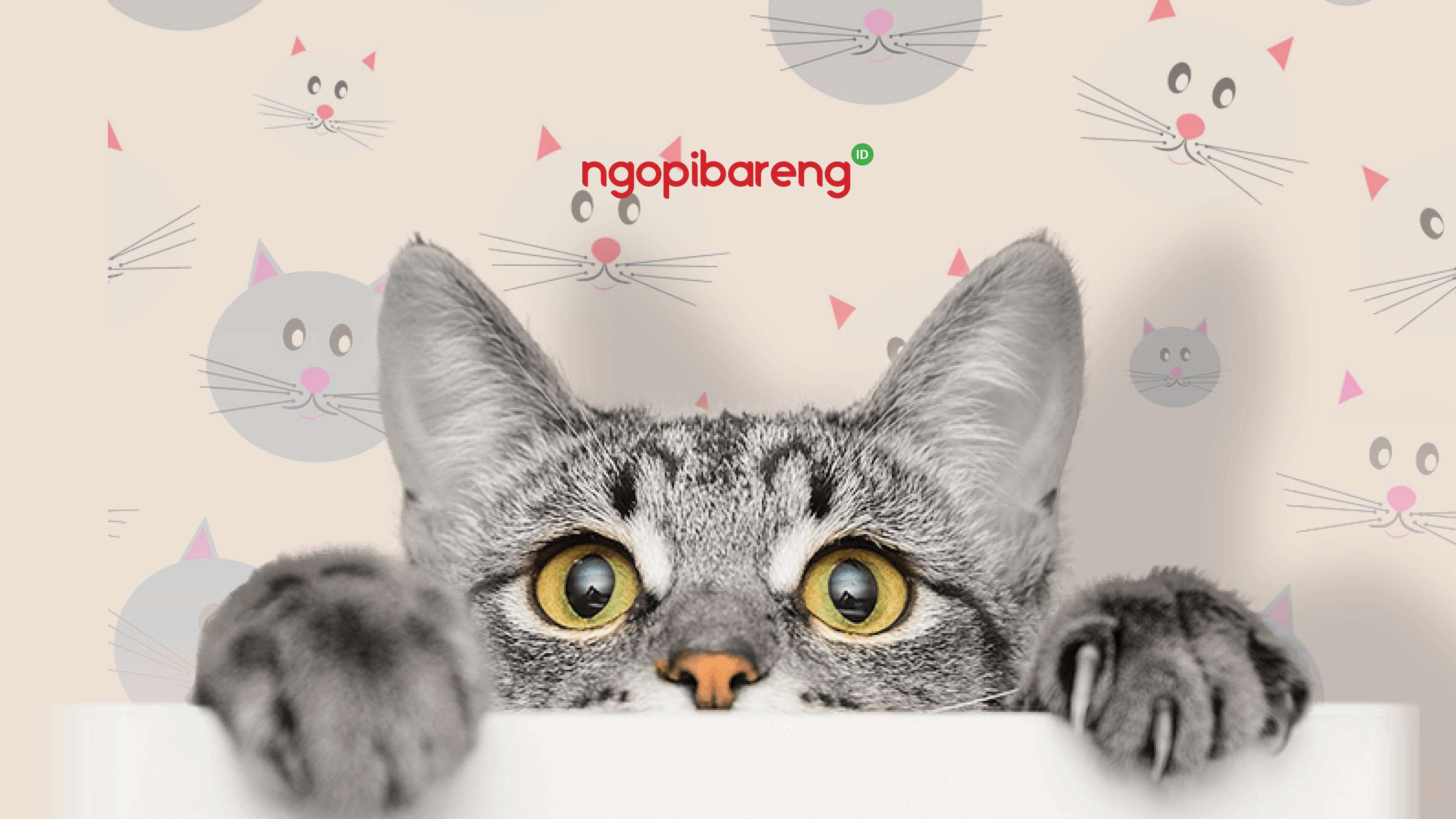 Ilustrasi kucing yang memperlihatkan tanda-tanda ketika sedang merasa tidak nyaman. (Foto: pngegg)