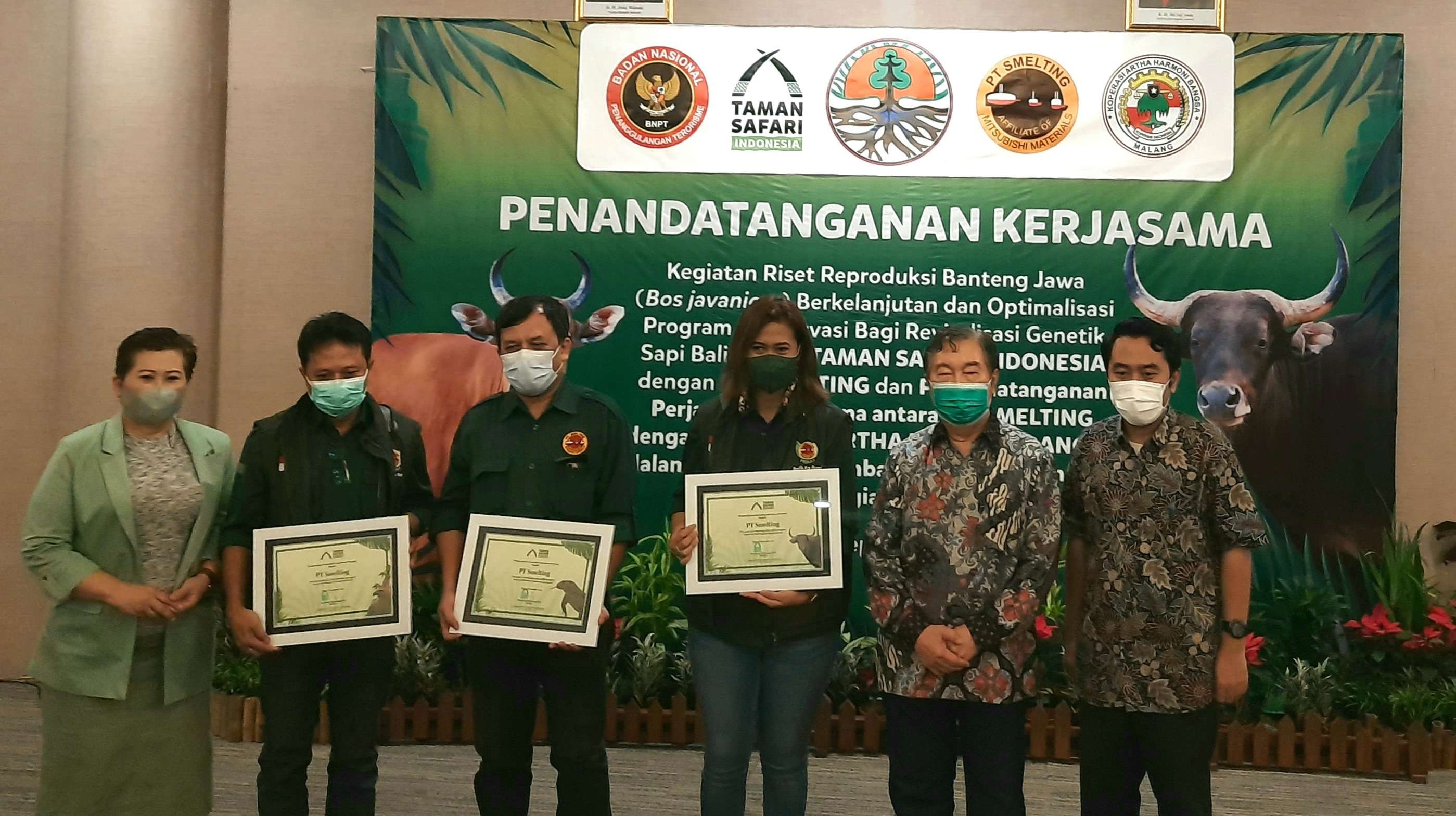 Acara Tandatangan MoU inseminasi Banteng Jawa-Sapi Bali di Taman Safari Prigen. (Foto: Alief Sambogo/Ngopibareng.id)