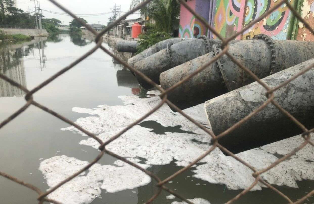 Busa di Sungai Kalisari Damen Surabaya, 4 Agustus 2022. (Foto: Pita Sari/Ngopibareng.id)