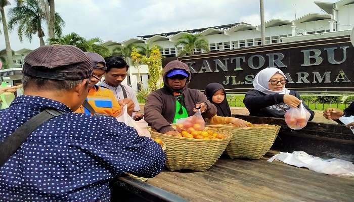 Petani Jember bagi-bagi tomat gratis di depan Kantor Bupati. (Foto: Rusdi/Ngopibareng.id)