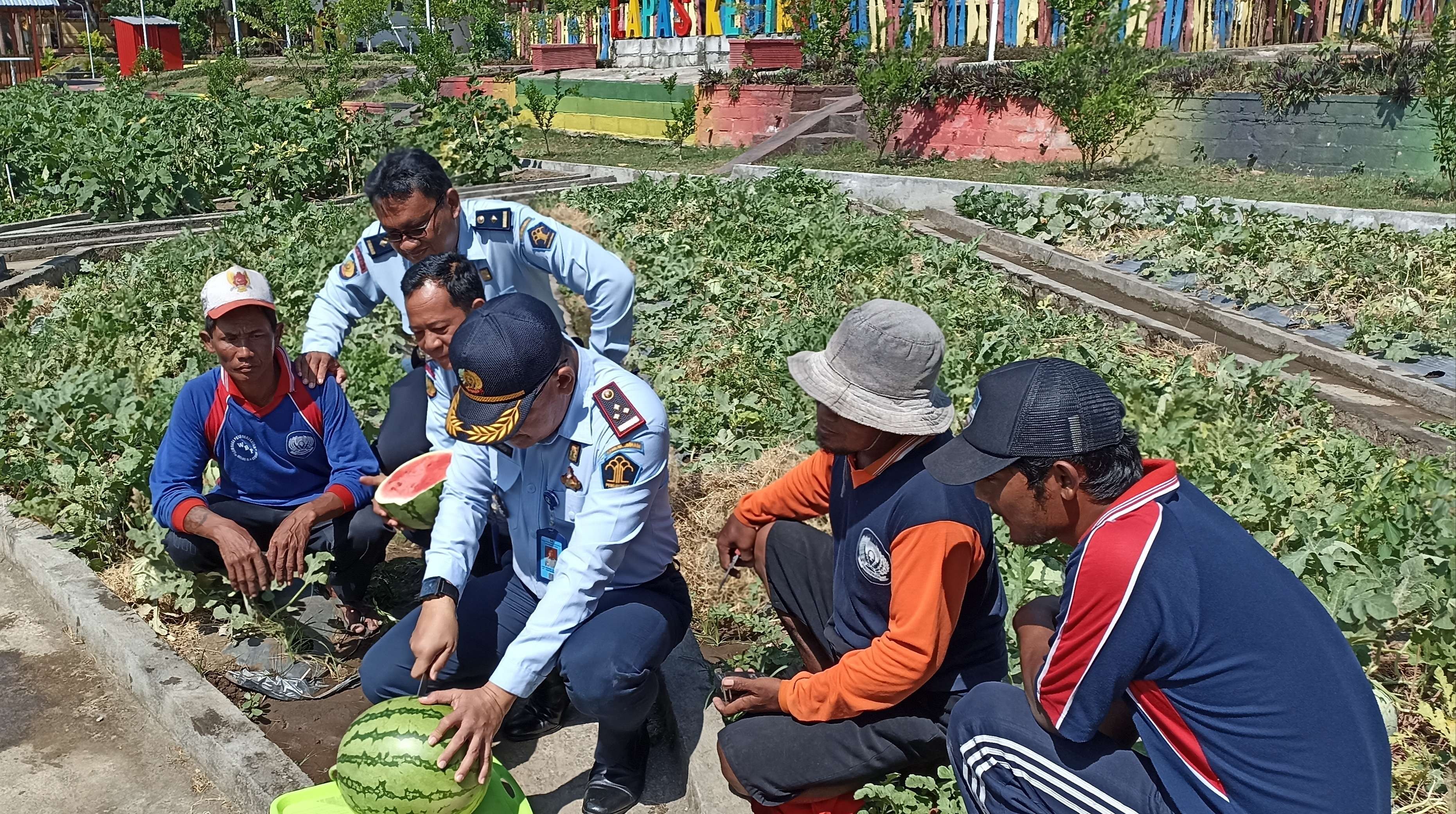 Tahanan Lapas Kelas 2A Kediri dibekali ilmu pertanian dan peternakan. (Foto: Fendhy Plesmana/Ngopibareng.id)