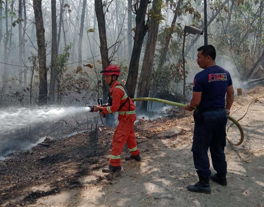 Tim Satpol PP dan Damkar Tuban serta Perhutanimelakukan upaya pemadaman hutan jati yang terbakar (Dok. KPH Tuban)