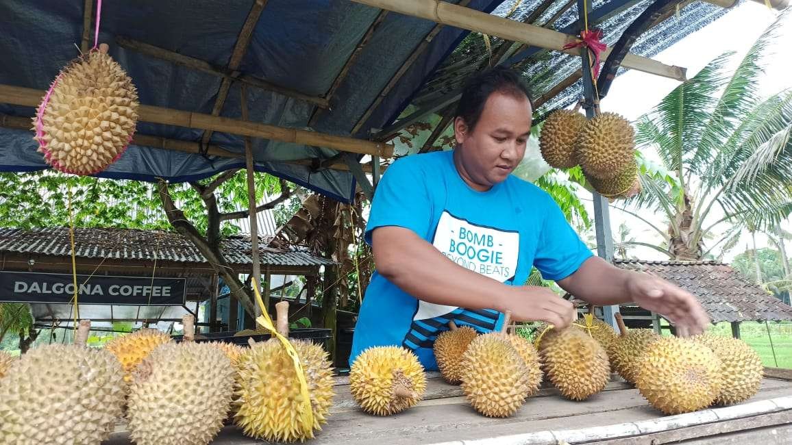 Ali Safron berjualan durian setelah menyelesaikan tugasnya sebagai guru (Foto: Muh Hujaini/Ngopibareng.id)