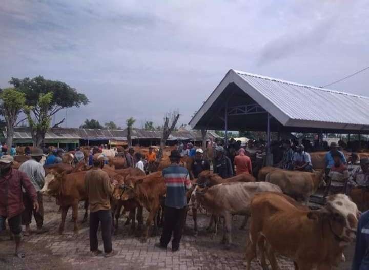 Situasi Pasar Hewan Tikung secara resmi dibuka Minggu, 9 Oktober 2022. (Foto: Istimewa)