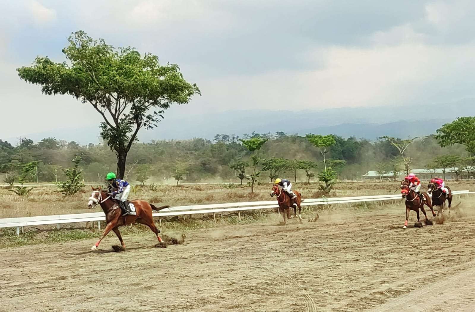 Para joki sedang memacu kudanya di Kejurnas Pacu Kuda Pordasi ke-56 yang memperebutkan Piala Presiden di Pasuruan. (Foto: dok. Humas Pordasi)