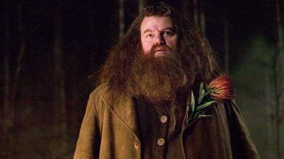 Aktor Skotlandia Robbie Coltrane, pemeran Rubeus Hagrid dalam film Harry Potter, meninggal dunia, Jumat 14 Oktober 2022. (Foto: Warnerbros.Picurters)