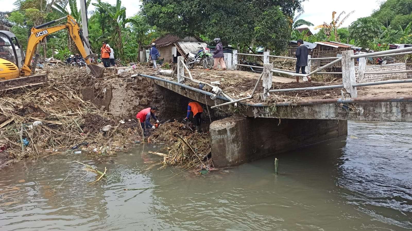 Petugas terus berupaya membersihkan bonggol pohon bambu yang tersangkut di jembatan Sutri. (Foto: Muh Hujaini/Ngopibareng.id)