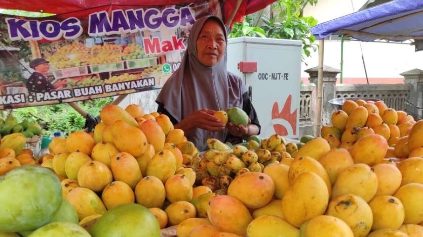 Curah hujan tinggi, hasil panen merosot  harga mangga lokal Kediri Anjlok.  (Foto: Fendi Lesmana/Ngopibareng.id)