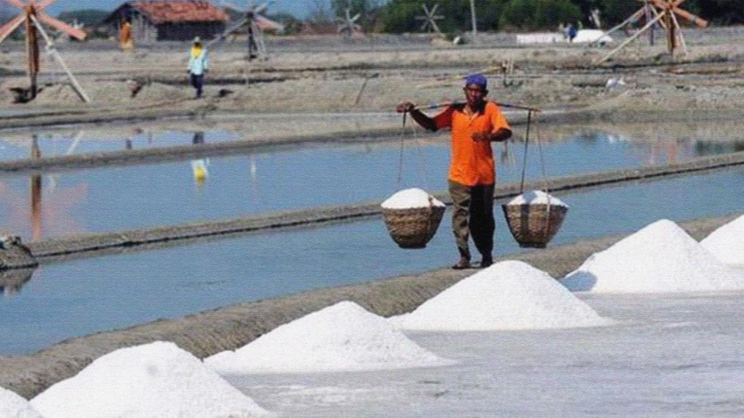 Salah satu petani garam di Jawa Timur. (Foto: dok/Ngopibareng.id)