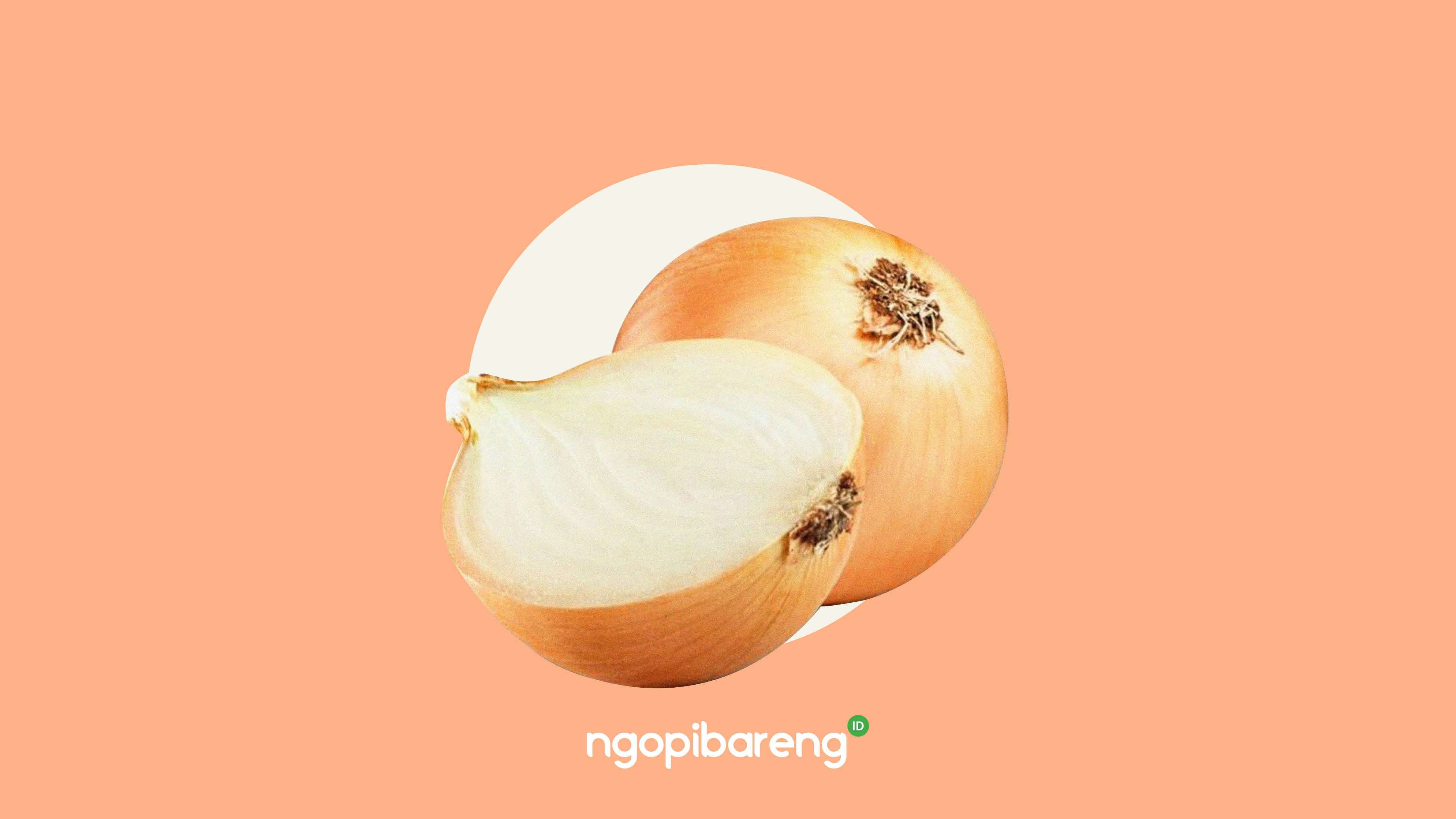 Bawang Bombai