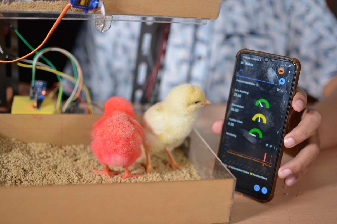 Pemberi makan ayam otomatis yang dapat diatur melalui aplikasi handphone. (Foto: Pita Sari/Ngopibareng.id)