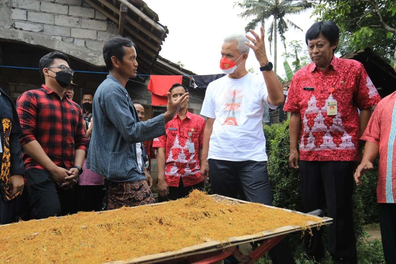 Kreativitas warga Pabelan Sukoharjo yang menyulap talas beneng menjadi pengganti tembakau. (Foto: Dokumentasi Jateng)