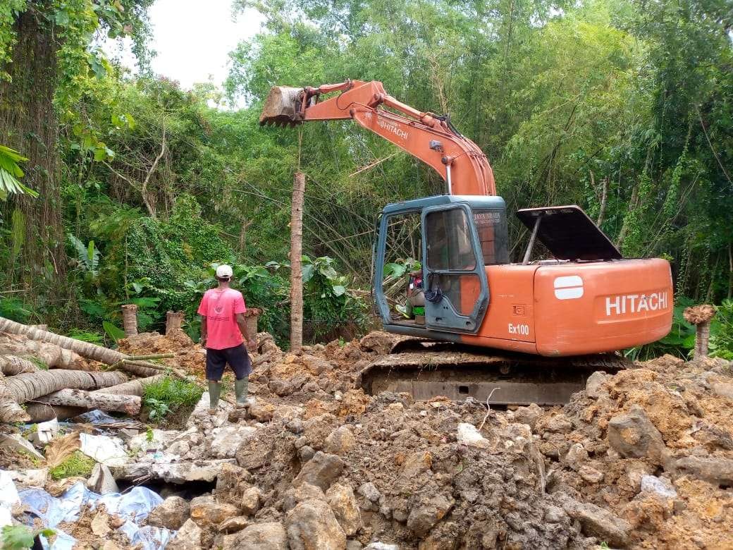 Pemasangan Turap Kayu Glugu dalam penanganan darurat tanah longsor (ahmad sampurno/ngopibareng.id)