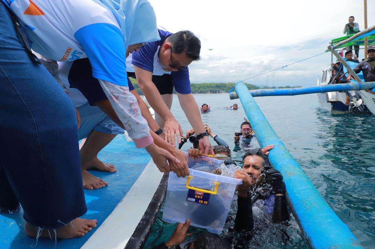 Sekdaprov Jatim, Adhy Karyono (tengah) saat melepas terumbu karang dalam kegiatan Adopsi 7.700 Terumbu Karang di Pantai Pasir Putih, Situbondo, Sabtu 12 November 2022. (Foto: Humas Prov Jatim)