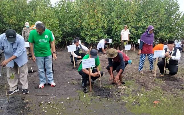 Kemendes PDTT RI bersama Pemkab Situbondo menanam 6 ribu bibit mangrove di tiga pesisir Pantai Situbondo. (Foto: Dokumentasi Sekda Situbondo)