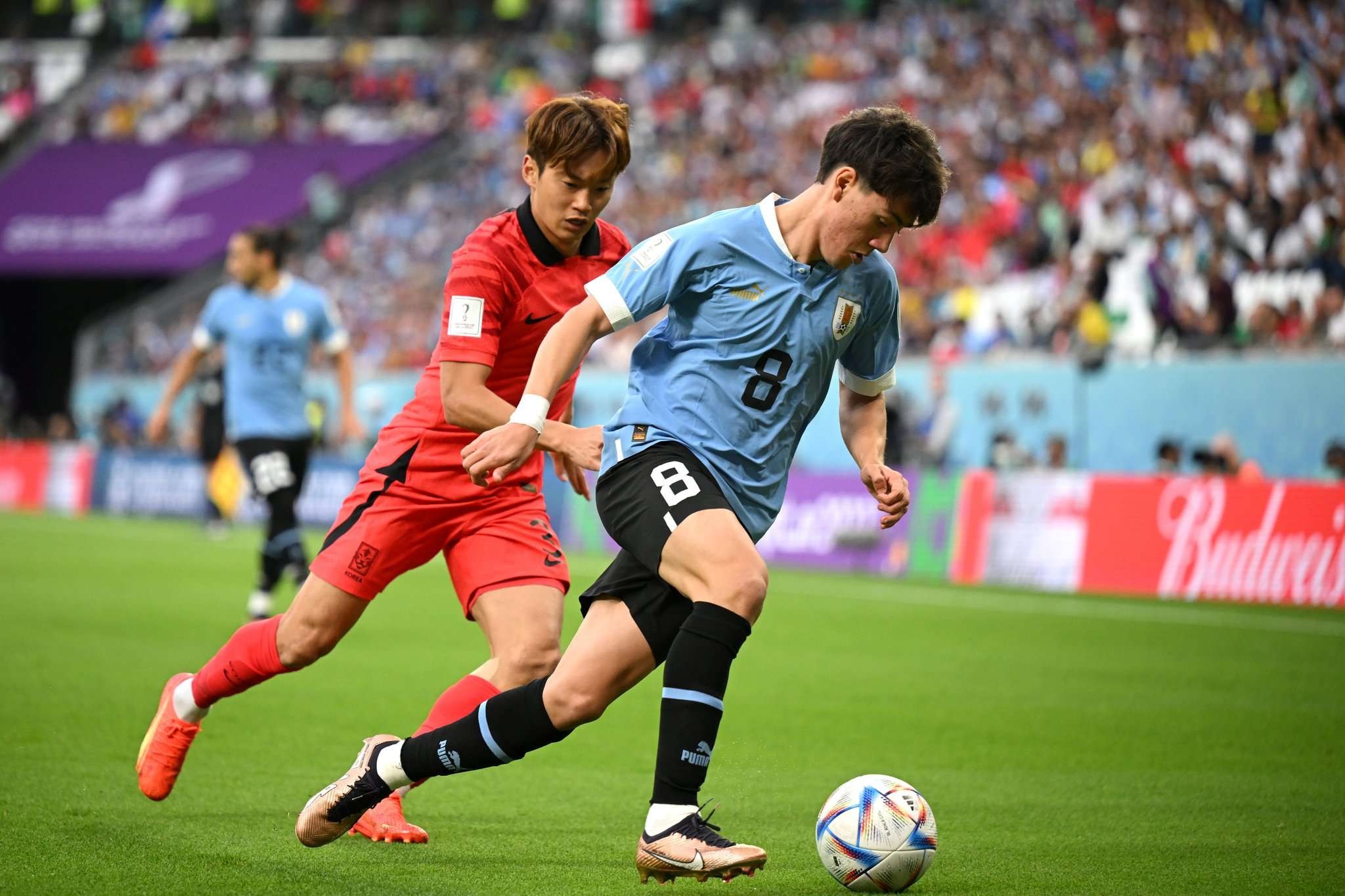 Juara dunia Uruguay tak berdaya lawan Korea Selatan. (Foto: FIFA)