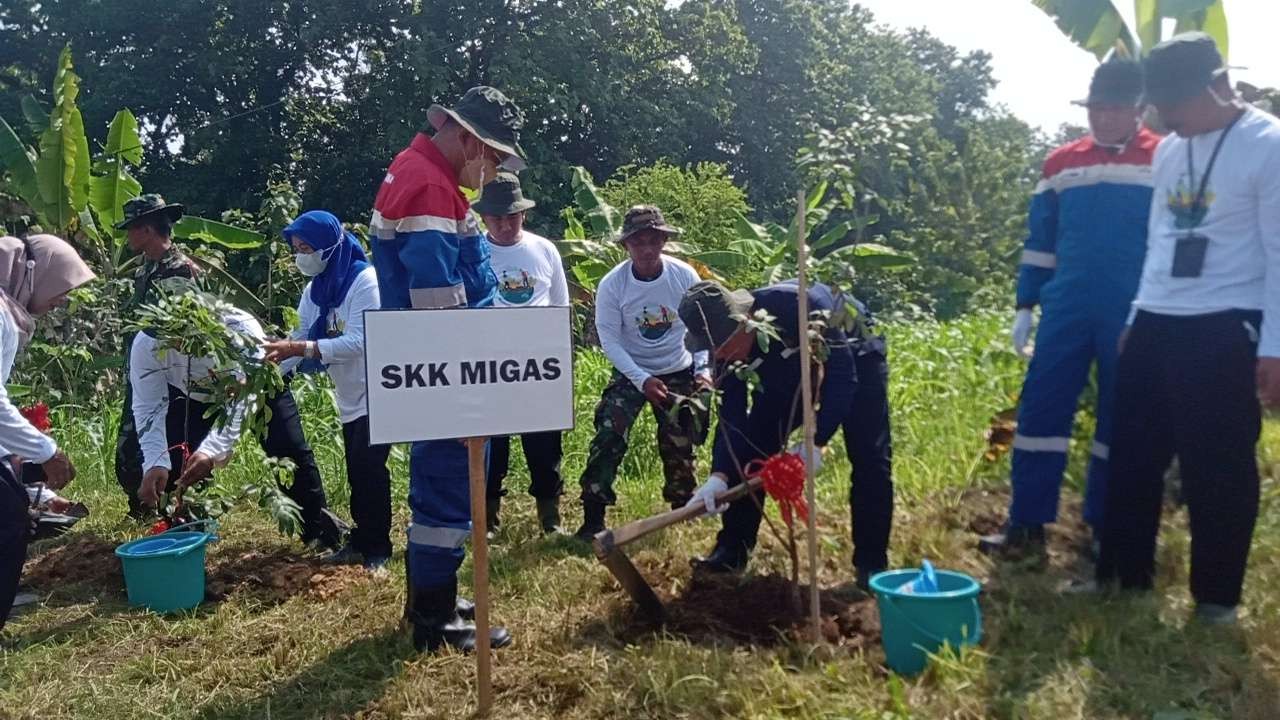 SKK Migas menjadi pelopor penanaman pohon di wilayah kerja Kontraktor Kontrak Kerja Sama atau KKKS. (Foto: Ahmad Sampurno/ Ngopibareng.id)