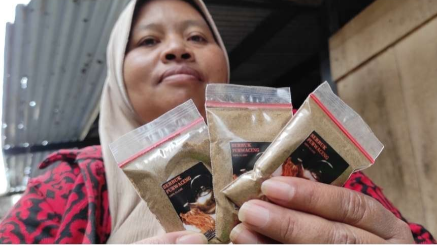 Purwoceng minuman herbal lereng Gunung Dieng, Wonosobo ini konon telah dikonsumsi raja-raja Kerajaan Mataram. (Foto: Fendi Lesmana/Ngopibareng.id)