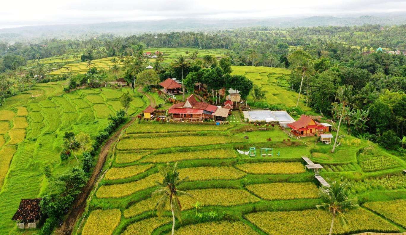 Salah satu destinasi wisata alam yang ada di wilayah Licin, Banyuwangi, Jawa Timur. (Foto: Istimewa)