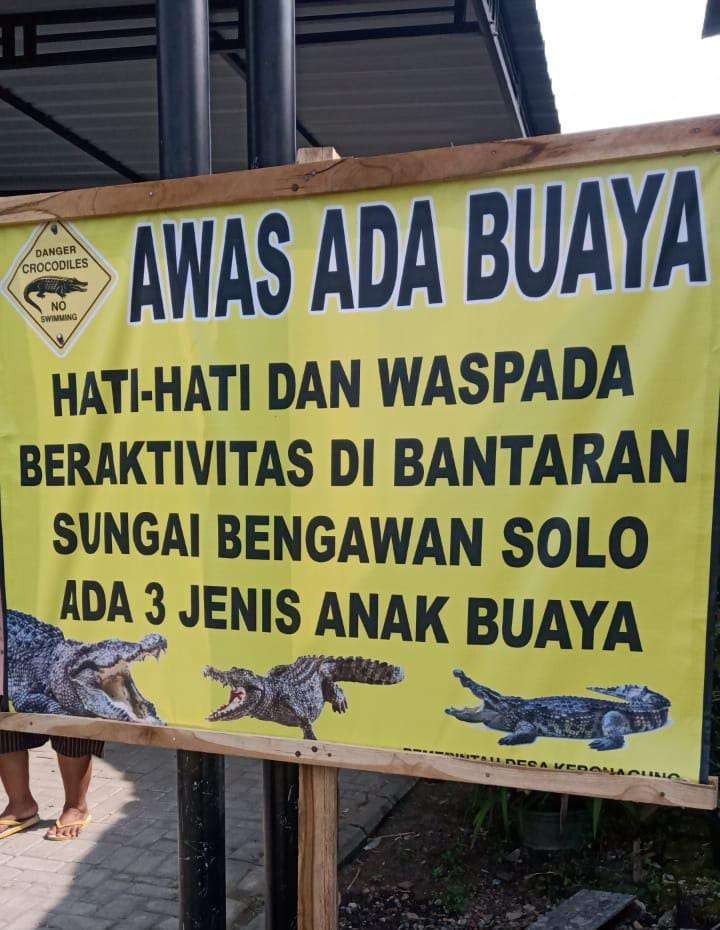 Peringatan munculnya buaya di Sungai Bengawan Solo. (Foto: dok warga Kebunagung)