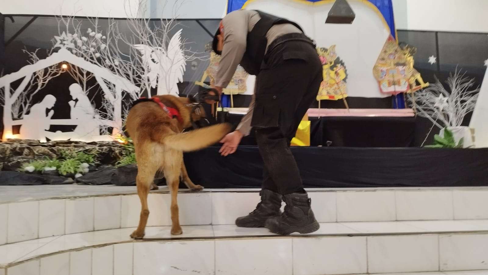 Anjing K-9 dilibatkan dalam sterilisasi di Gereja Kristen Jawi Wetan, Banyuwangi. (Foto: Muh. Hujaini/Ngopibareng.id)