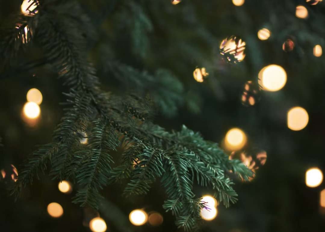 Pemerintah memutuskan tak ada cuti bersama untuk Natal 2022 dan Tahun Baru 2023. Libur cuti bersama Baru ada pada peringatan Imlek 2023 nanti. (Foto: unsplash)