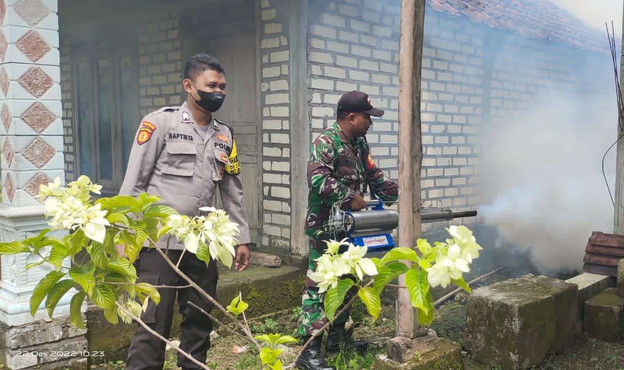 Babinsa dan Bhabinkamtibmas Bluluk, Lamongan gelar fogging untuk mencegah penyakit demam berdarah. (Foto: Pendim 0812 Lamongan)