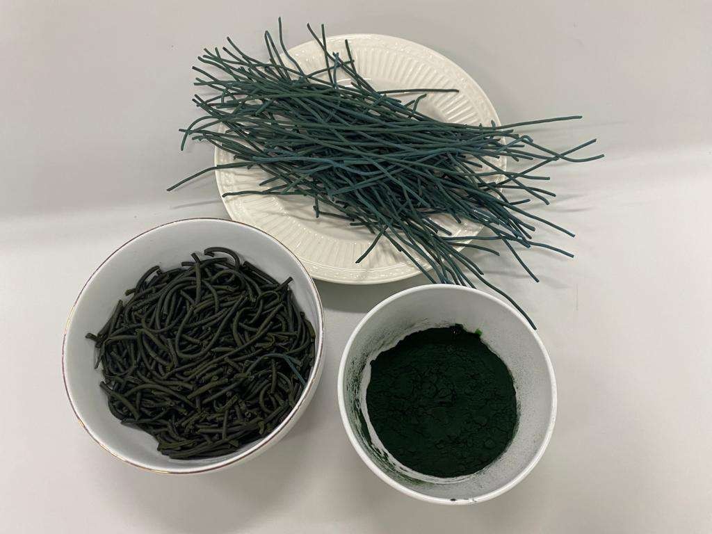 Mie pasta spirulina yang dikreasikan dosen dan mahasiswa Ubaya. (Foto: Dokumentasi Ubaya)