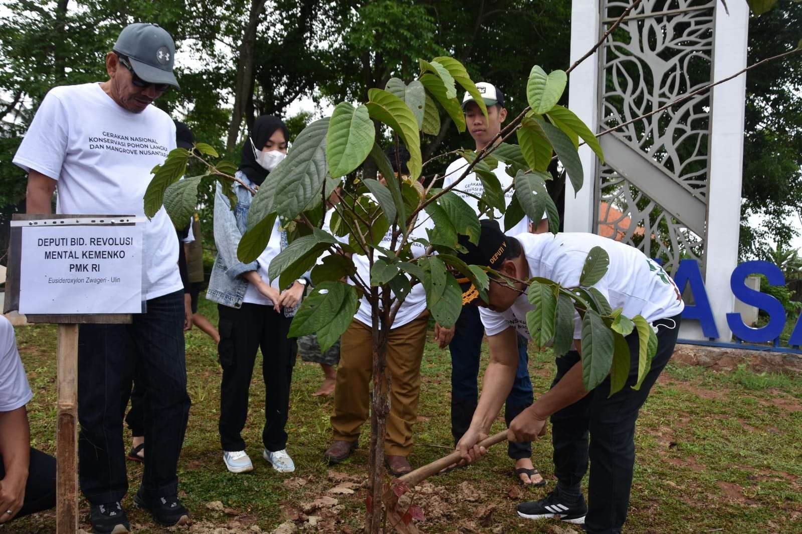 Aksi tanam 3.500 pohon mangrove dan pohon langka di Tangerang. Kegiatan ini bagian dari aksi tanam 10 juta pohon Kemenko PMK. (Foto: Dokumentasi Kemenko PMK)