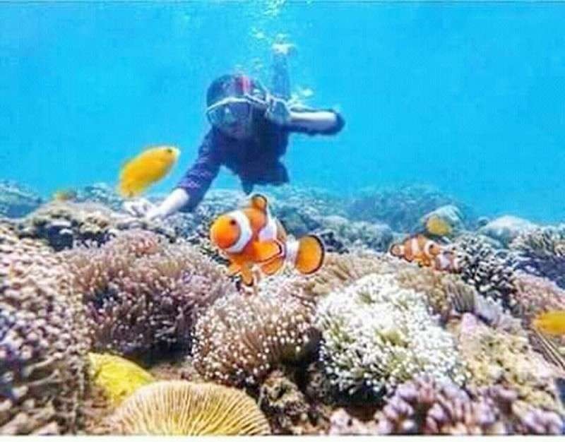 Wisatawan menikmati snorkeling di perairan laut Giliketapang, Kabupaten Probolinggo. (Foto: Ikhsan Mahmudi/ngopibareng.id)