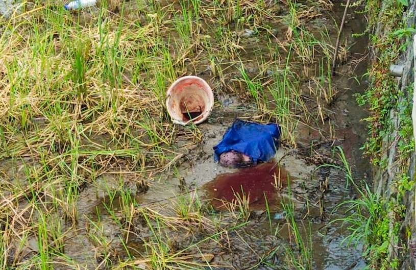 Jasad bayi terbungkus tas biru di sawah Sidoarjo (foto : Aini/Ngopibareng.id)