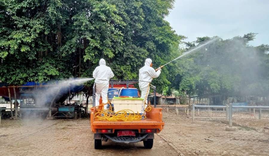 Penyemprotan disinfektan oleh BPBD Provinsi Jawa Timur di pasar hewan Tuban (Foto: Khoirul Huda/Ngopibareng.id)