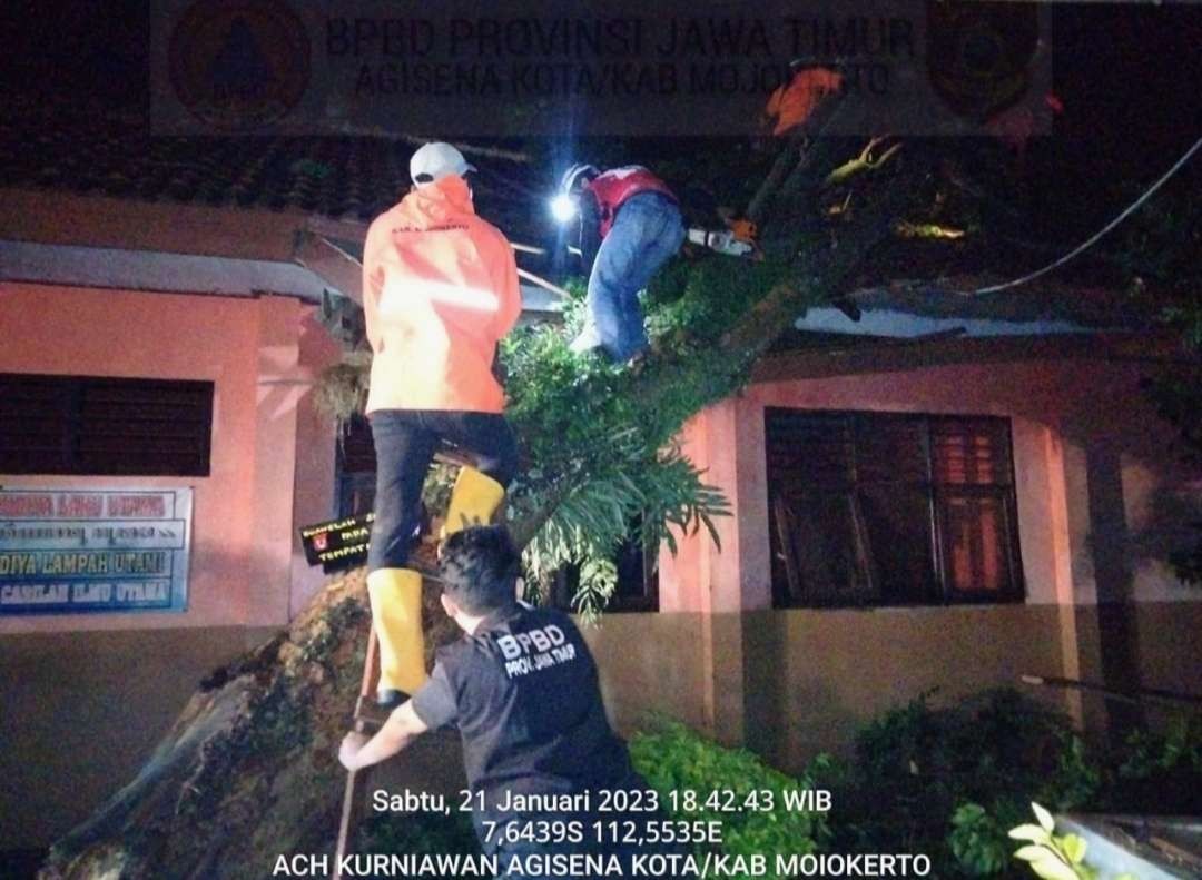 Sekolah tertimpa pohon yang diterjang puting beliung. (Foto: Dokumentasi BPBD Mojokerto)