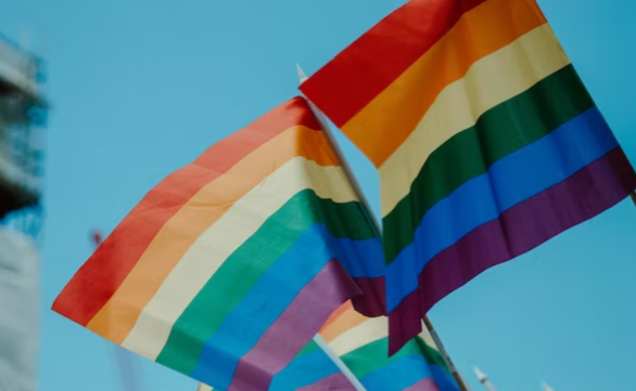 Paus Fransiskus mengkritik undang-undang yang mengkriminalkan praktik homoseksual dan LGBT. Menurutnya, perilaku LGBT bukan tindak kriminal. (Foto: Unsplash)