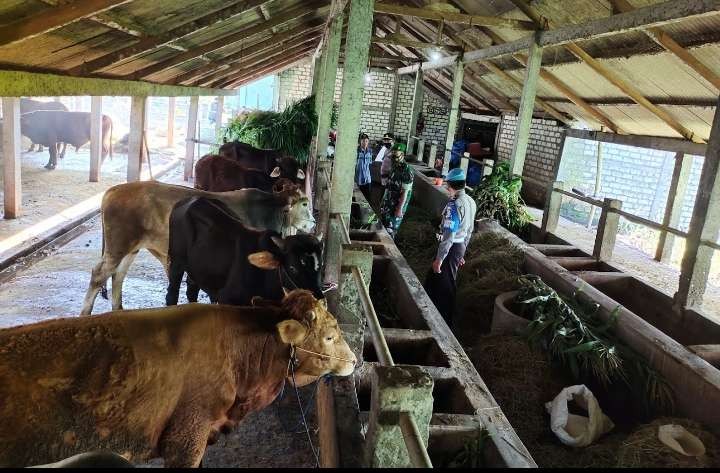 Dinas Peternakan dan Kesehatan Lamongan bersama TNI Polri aktif melakukan pemantauan di kandang peternak (Foto: Istimewa)