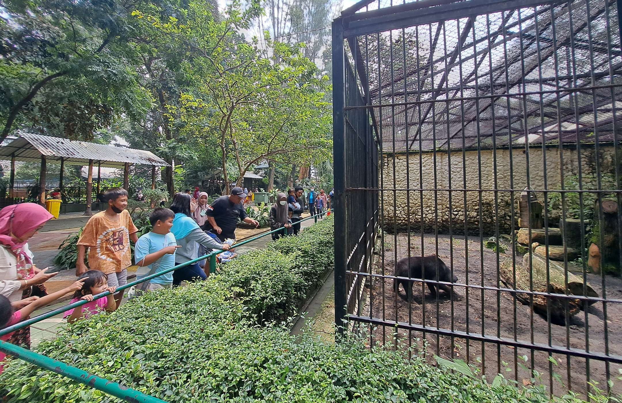 Ilustrasi pengunjung di KBS Surabaya yang sedang melihat salah satu koleksi satwa. (Foto: Pita Sari/Ngopibareng.id)