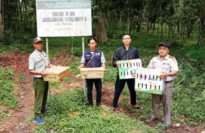 Petugas BKSDA hendak melepaskan burung di cagar alam (foto: istimewa)