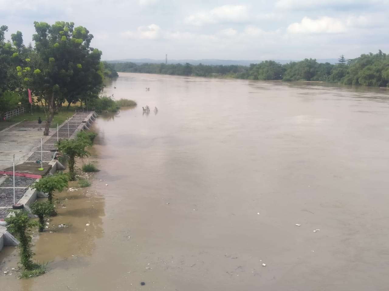 Air di Sungai Bengawan Solo, dimana foto diambil dari Jembatan Sosorodilogo, di atas Sungai Bengawan Solo, yang menghubungkan antara Kecamatan Kota dengan Kecamatan Trucuk, Bojonegoro pada Jumat 17 Februari 2023, sore. (Foto: Sujatmiko/Ngopibareng.id)