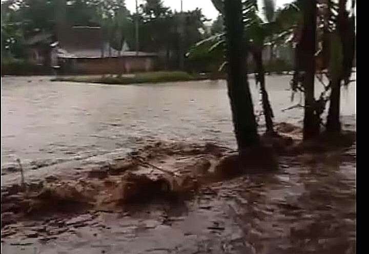 Area persawahan di Desa Pancoran Kecamatan Bondowoso terendam banjir. (Foto: Guido Saphan/Ngopibareng.id)