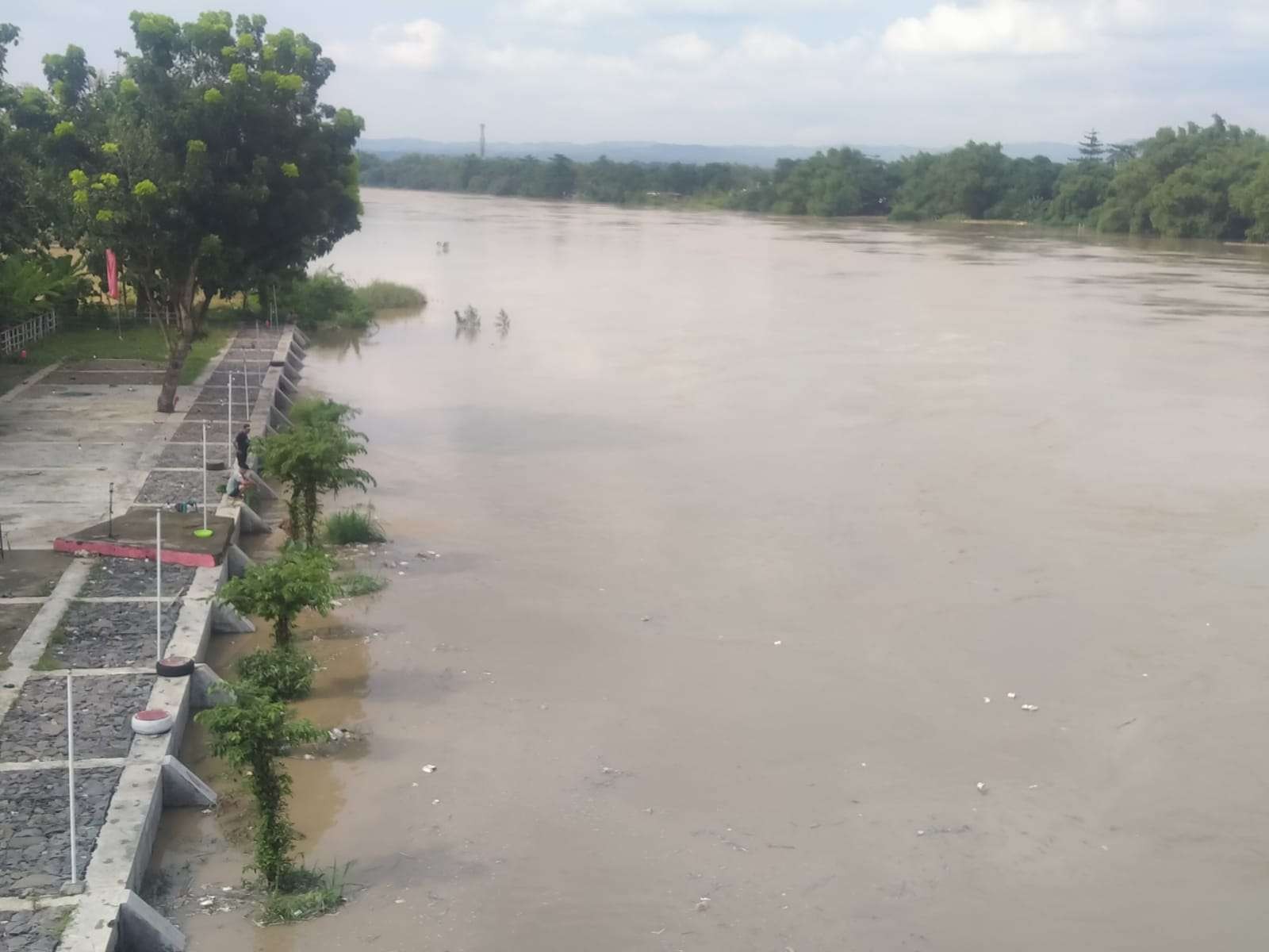 Sungai Bengawan Solo airnya naik. Foto diambil dari Jembatan Sosrodilogo, Kecamatan Kota Bojonegoro, pada Senin 24 Oktober 2022 lalu. (Foto: Sujatmiko