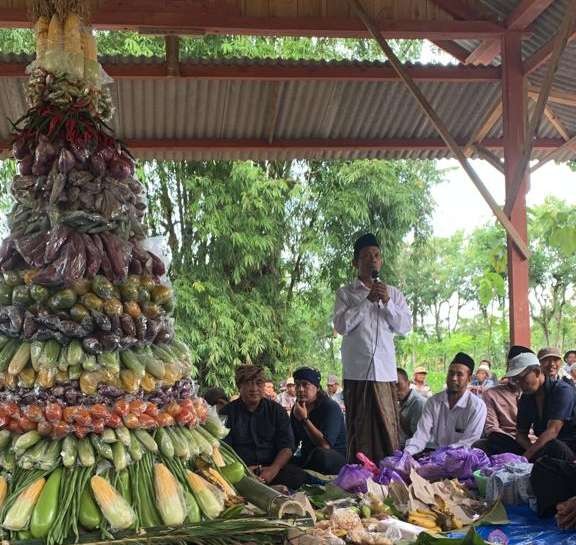 Tumpeng robyong dari hasil bumi Desa Kedungrejo, Kecamatan Kerek,Tuban saat sedekah bumi berlangsung (Khoirul Huda/Ngopibareng.id)