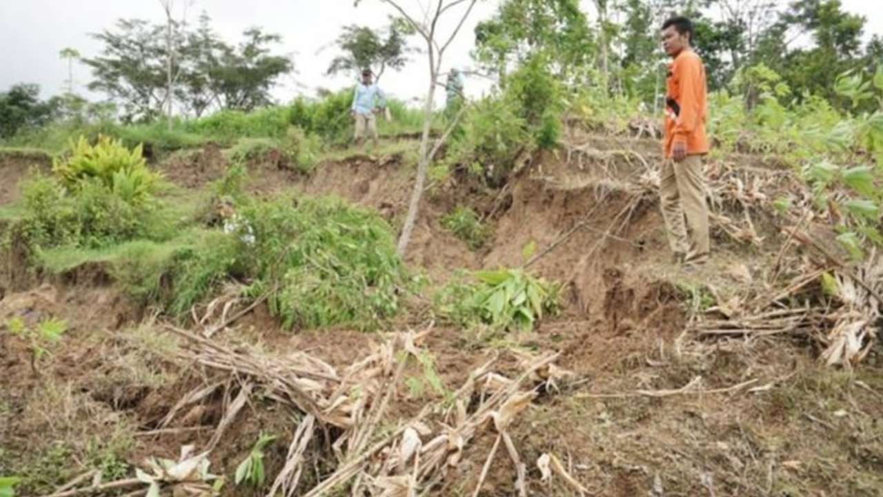 Sejumlah lahan pertanian warga di Trenggalek ambles. (Foto: BPBD Trenggalek)