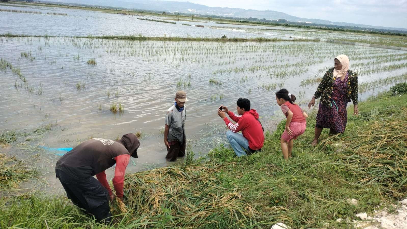 Petani di Desa Temu Kecamatan Kanor, Bojonegoro, usai panen raya. (Foto: istimewa)