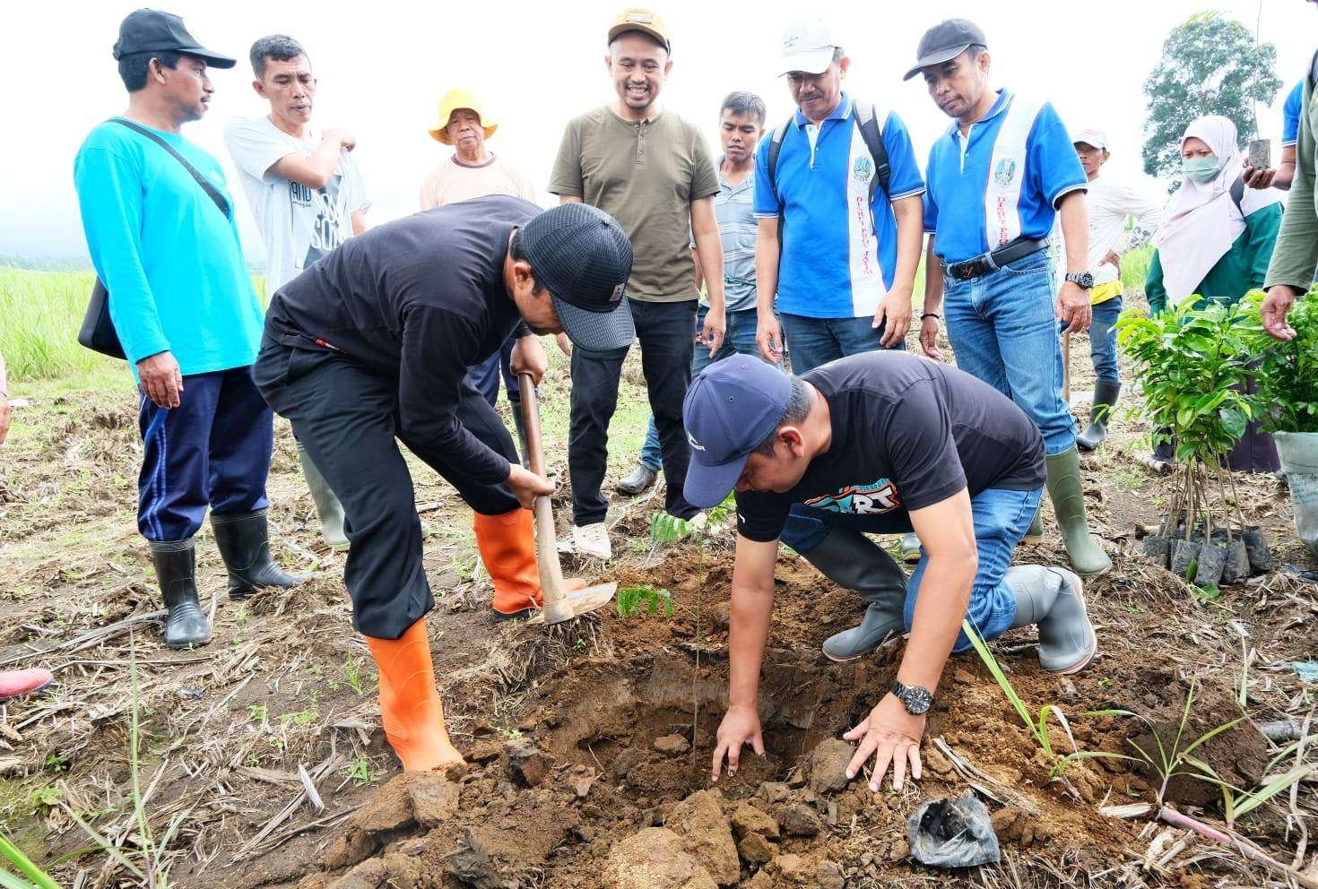 Penanaman pohon keras di kawasan hulu diharapkan bisa mengatasi banjir di kawasaan perkotaan (foto: istimewa)