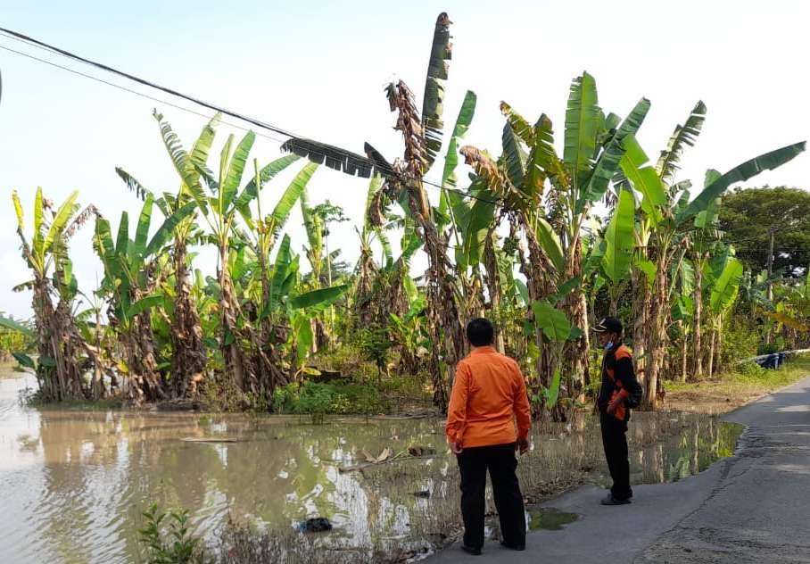 Tim BPBD Tuban saat meninjau kondisi Bengawan Solo di Desa Kebomlati, Kecamatan Plumpang, Tuban (Foto: dok. BPBD Tuban)